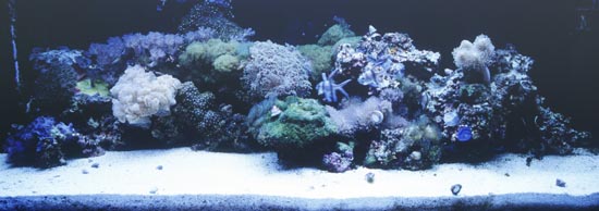 aquarium