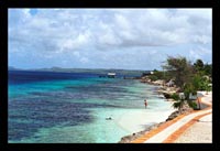 bonaire beach 200.jpg (14737 bytes)